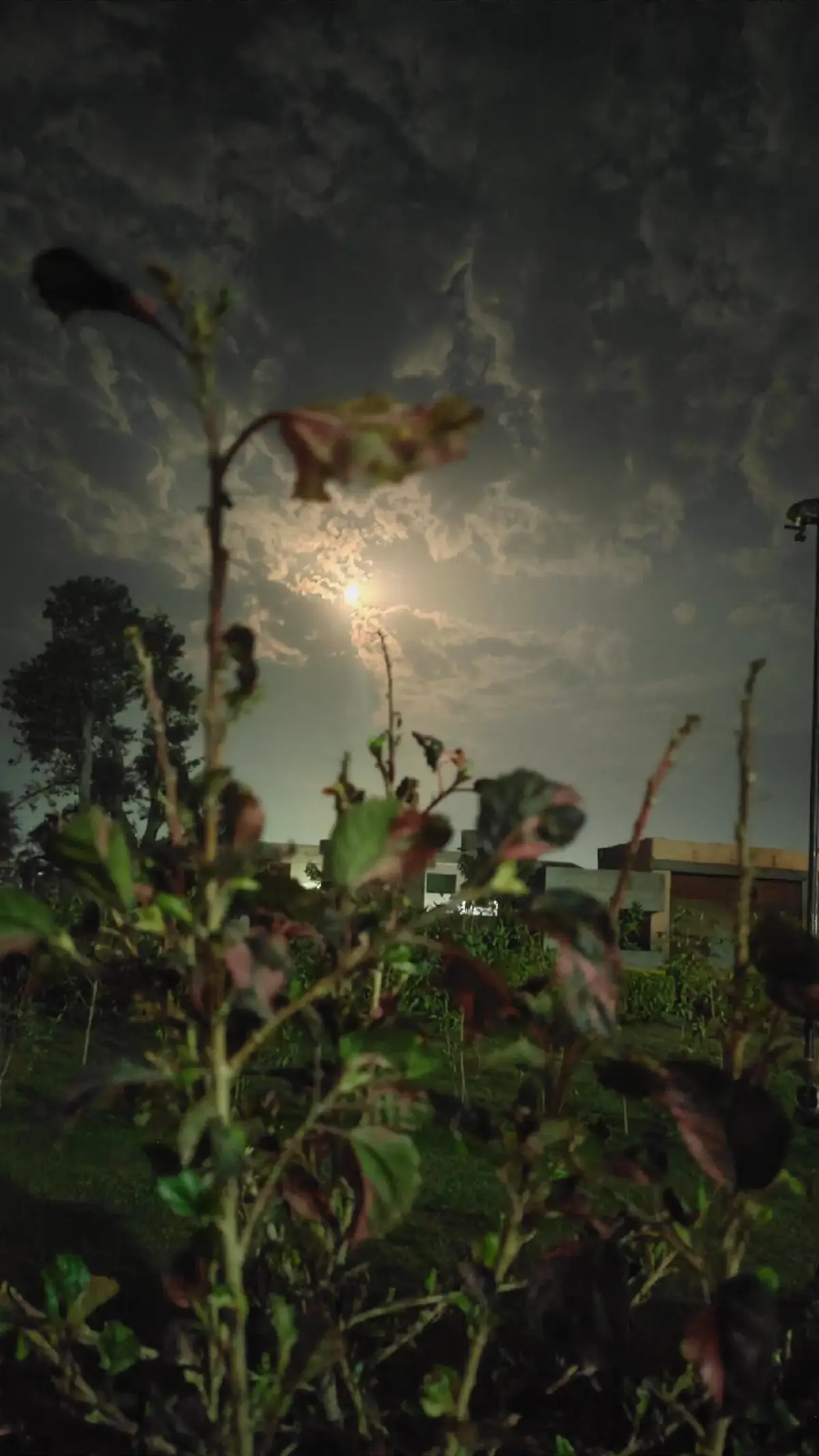 💯QURAN_TRANSLATION🤍🎧  #quran_alkarim #القران  #quranrecitation #ilovequran  #islamicvideostatus 