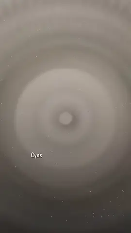 「盛不盛开, 花都是花。有你没你,我都是我。」   [id:zhouxxi]   #fairytail #stingeucliffe #nqchz🦢 #eryw_grp౨ৎ #sky_fireflyᥫ᭡ 