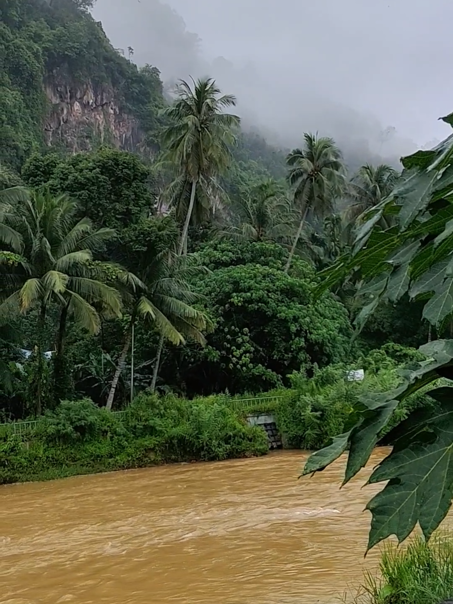 Suasana pagi di kampung.Kabus pagi menutupi gunung dan kehijauan alam membuatkan kita rasa tenang, damai, dan segar. #suasanakampung #kampunghalaman #keindahanalam #fyp #fyppppppppppppppppppppppp 