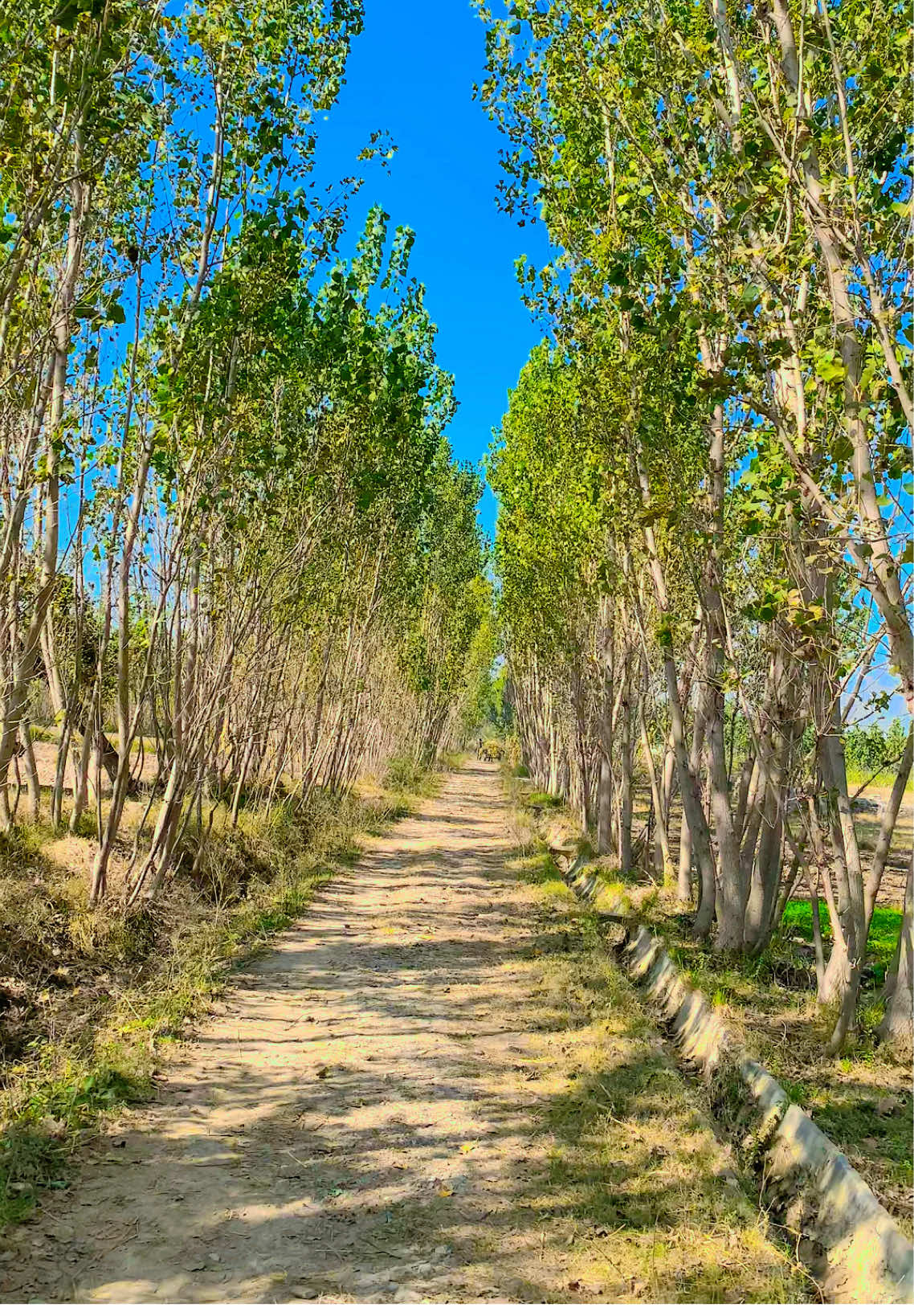 #🥀🥹❤️#foryoupage #viralvideo #supportingmeguys🙏❤️ @TikTok @TikTok Arab Creators 