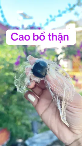 #xuongkhop #sinhlinam #ysl #rival #suckhoe247  @Thảo dược quy8  @Thảo dược quy8 