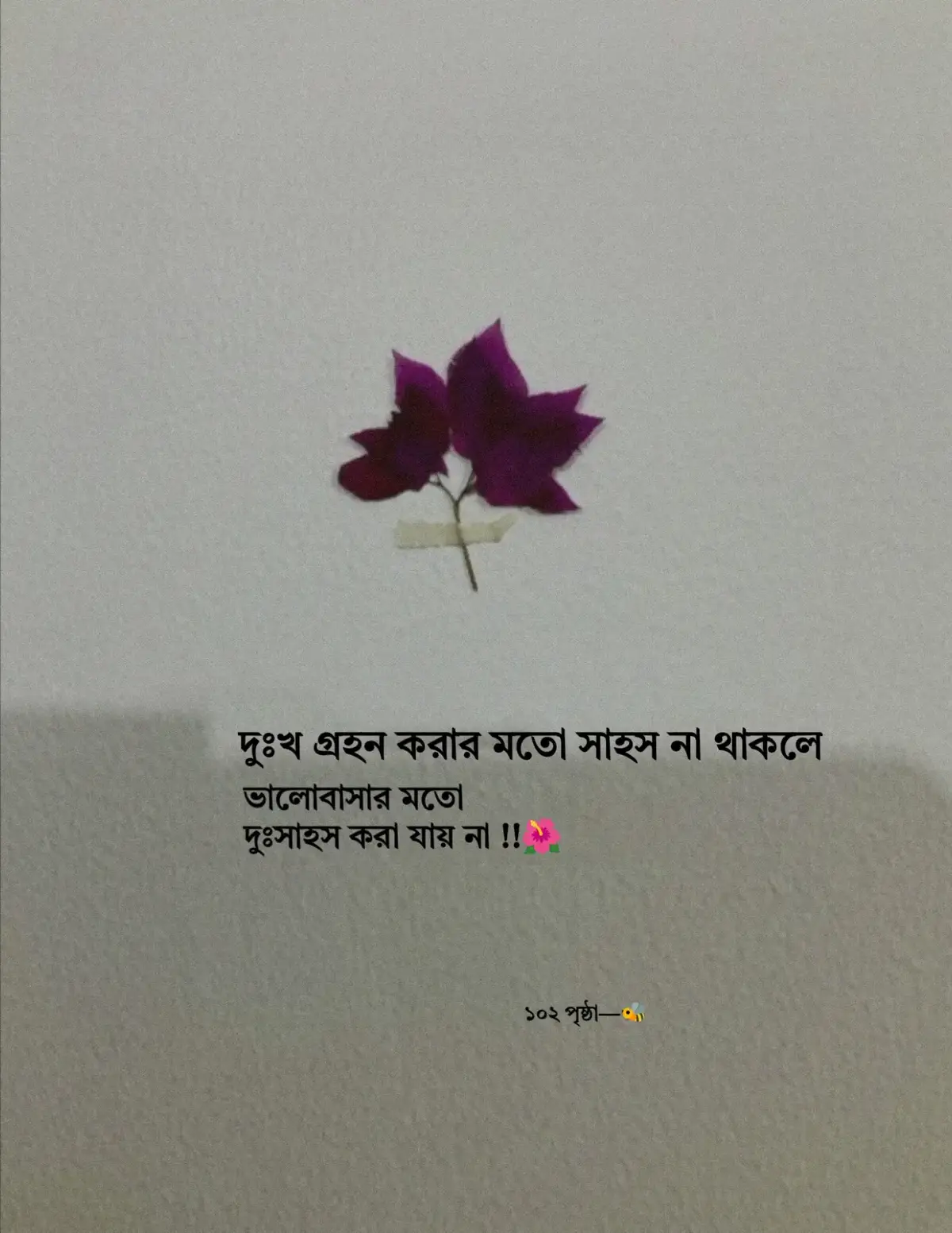 #foryouシ #creatorsearchinsights 