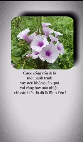 Cuộc sống vốn dĩ là một hành trình , vậy nên không cần quá vội vàng hay náo nhiệt , chỉ cần biết đủ đã là Bình Yên !