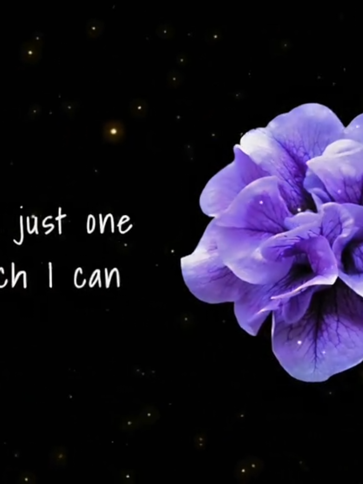 feel my body >>> #nicolyricss #lyrics #fyp 