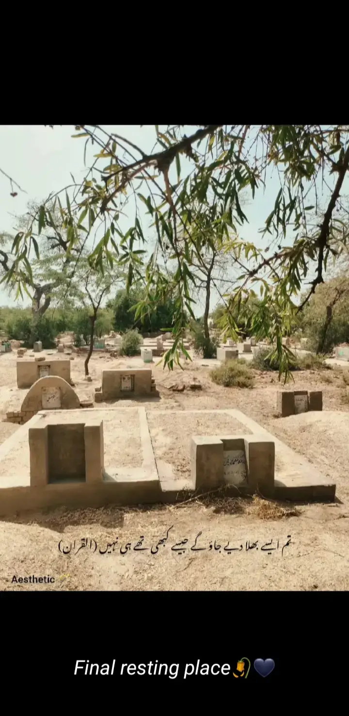 FINAL RESTING PLACE 😰🙏#newtrefindtemplate #foryoupage❤️❤️ 