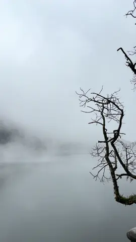 sarangan pagi ini indah bgt #sarangan #magetan24jam #magetan 