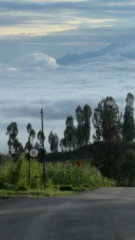 Definisi jalanan diatas awan  #dieng #wonosobo 