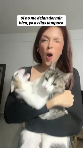 Ninguna sufrió, es su lenguaje del amor 🥰😆 #Humor #fyp #aymigatitomiaumiau 