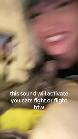 #scarymovie #annafaris 