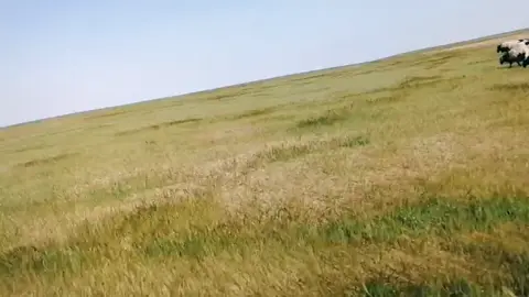 #ماشاءالله_تبارك_الله_اذكروا_الله #الحسينية_البادية_الجنوبية #الاردن🇯🇴 