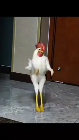 #duet with @Sk Sagor #রসে @Account not found 