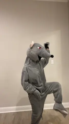 HORSES IN THE STABLE 🐴🤠#fyyyyyyyyyyyyyyyy #fyp #rat #LIVEFest2025 #fypシ 