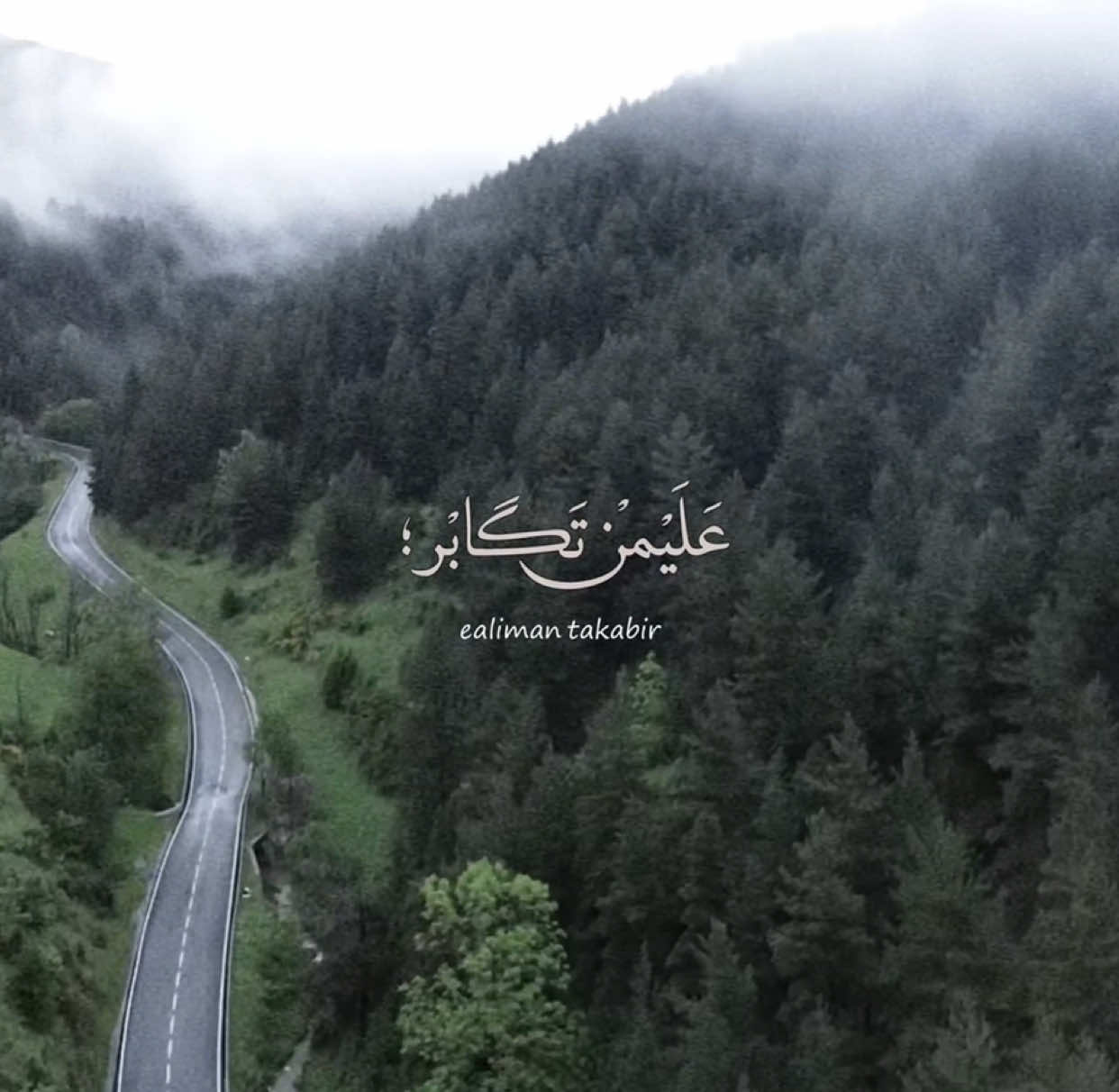 يُكَابِر كَلَبَّي وَأَنَـا أَبْعَالْم إلاَّهْـات؛ . . . . . . . #باسم_الكربلائي  #VIRAL  #FYP  #FORYOU  #TIKTOK 