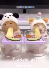 i found a keepsake of you…  #fyp #targetaudience #cameronwinter #animals #blue 