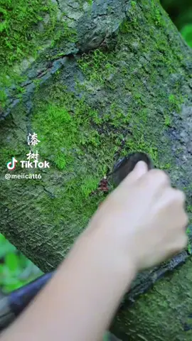 Full: 8 năm ước hẹn, 1 lời từ biệt 