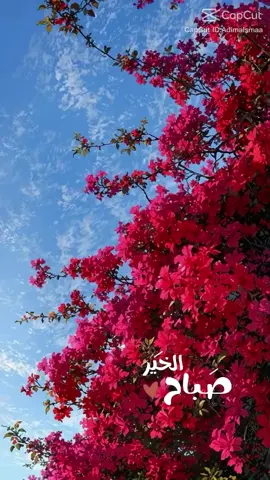 #creatorsearchinsights 