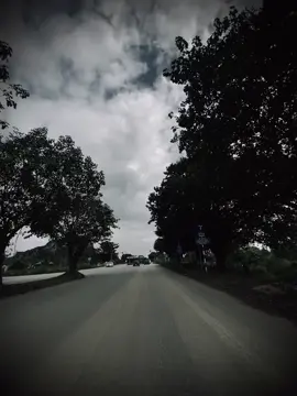 爱情就像花，美丽的花朵终究会凋谢，无论多么美好的爱情，终究会凋 零。 