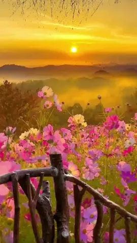 #cảnhđẹpthiênnhiên 