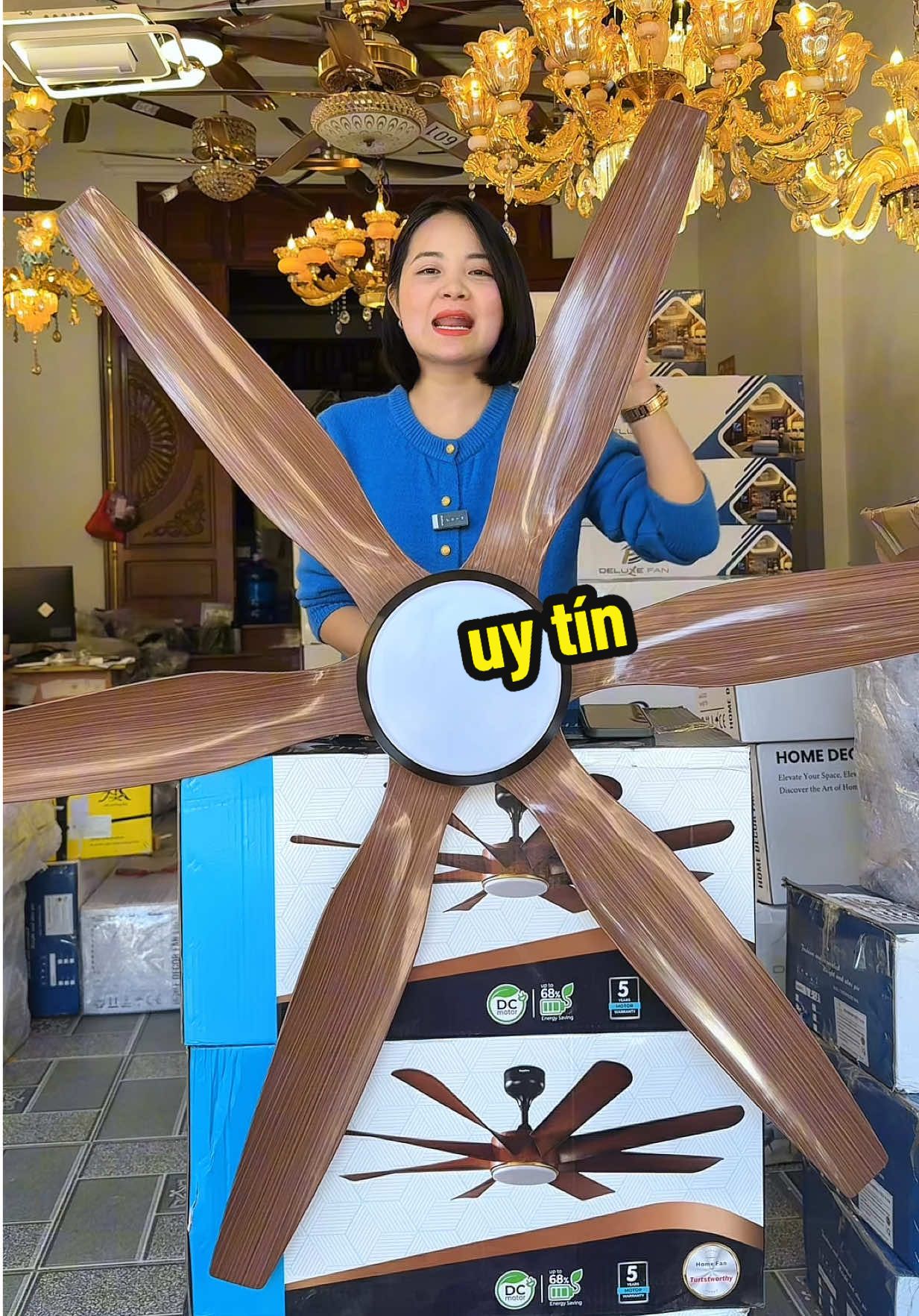 Em bao giá thị trường quạt nha các bác #haxinh #quattran #quattranden #quattrancaocap #noithatdep