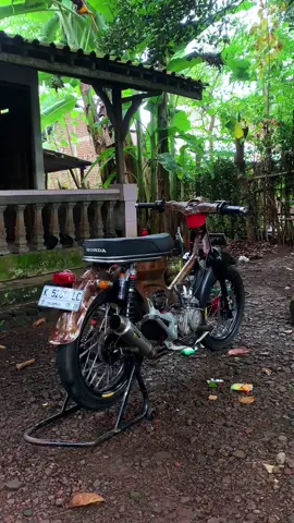 🥀#fypシ゚ #pitungkarat 