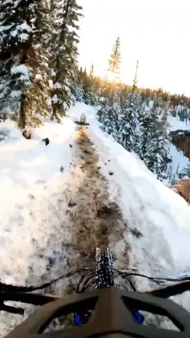 Happy birthday #polarbear #happybirthday #ai #viral