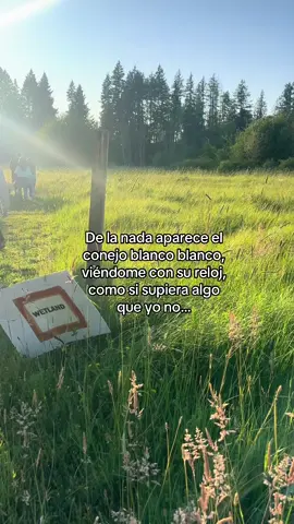 Señales  #conejoblanco #alltheroadsleadtorome #todosloscaminosllevanaroma #aliciaenelpaisdelasmaravillas #tictac 