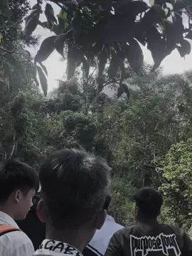 #xuhuongtiktok họp băng.!