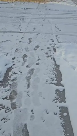 #canada_life🇨🇦 #viraltiktok #fypシ゚viraltiktok #foryou #tumbin 