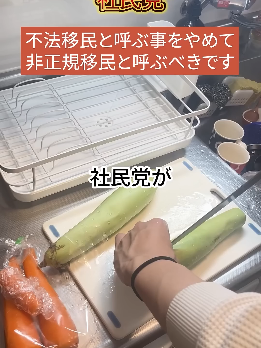 【物議】社民党「不法移民ではなく、非正規移民と呼ぶべきです」→批判殺到w