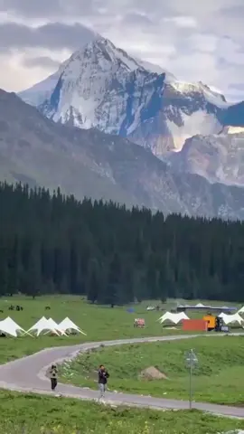 Giảm đường huyết dễ dàng không tốn sức, huyết đường cao dần được cải thiện.KUGUA