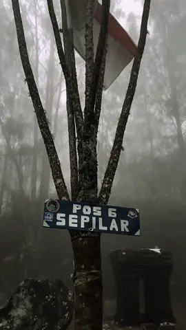 Candi sepilar 🥶#arjuno3339mdpl #pendakigunung #pendakiindonesia#mistis 