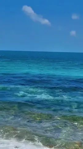 Tôi gói thư tình gửi biển..!#namdoan #xuhuong #xuhuongtiktok  @Nam Đoàn 