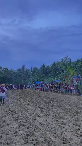 jumpa lagi tahun depan 👋😊#kerapderes #kerapansapimadura #premanpensiun #sumenep #fypdong 