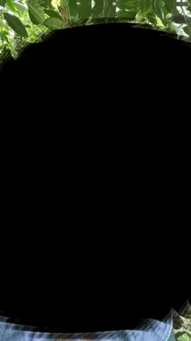 ##xuhuongxuhuongtiktok #xuhuongxuhuongtiktok ❤️🌺