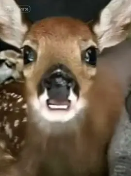 #CapCut #tuff #67 #fyp #foryoupage❤️❤️ 