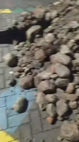 ayo fyp maneh##timbang gabut