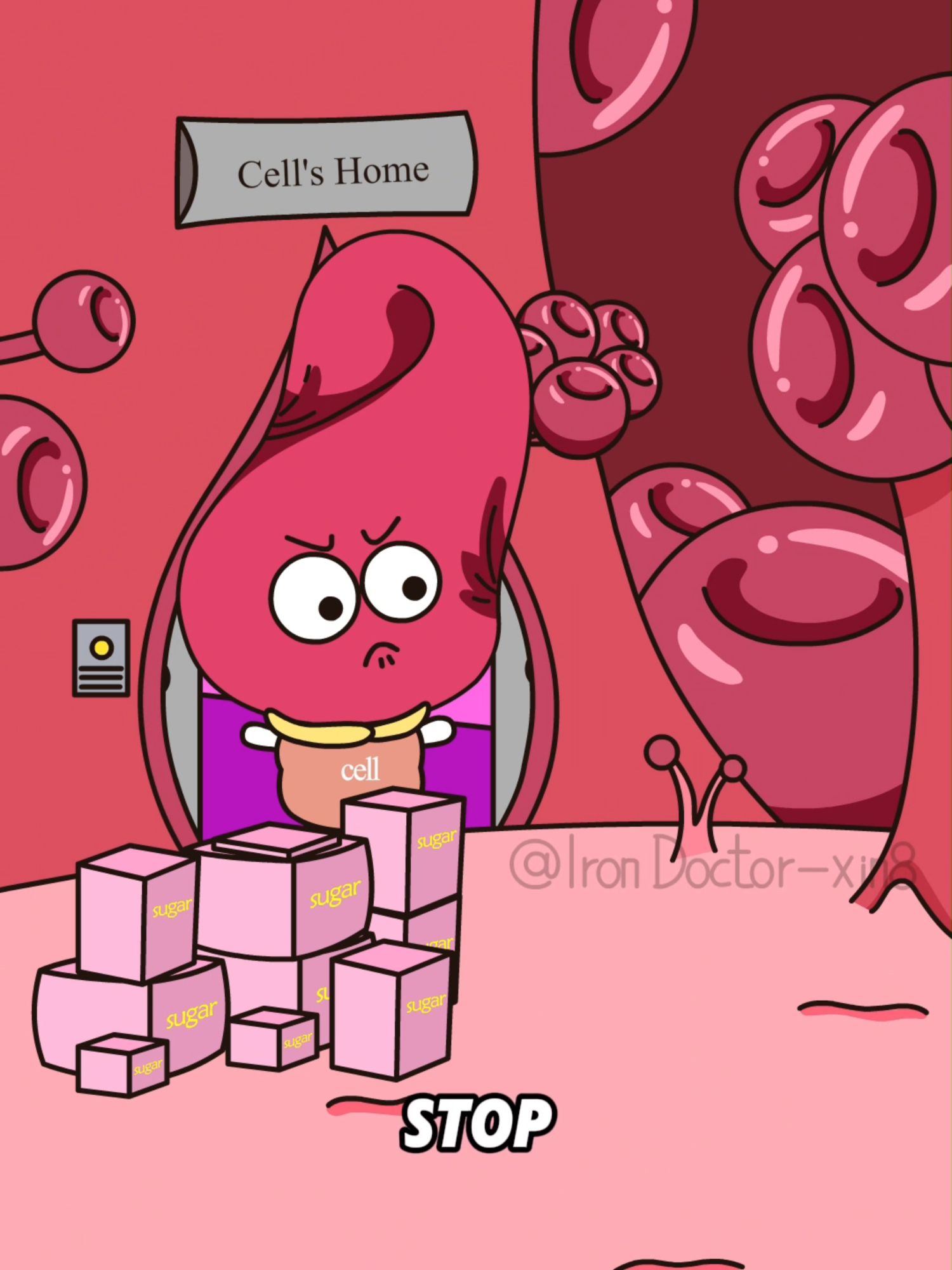 How did you get so fat?