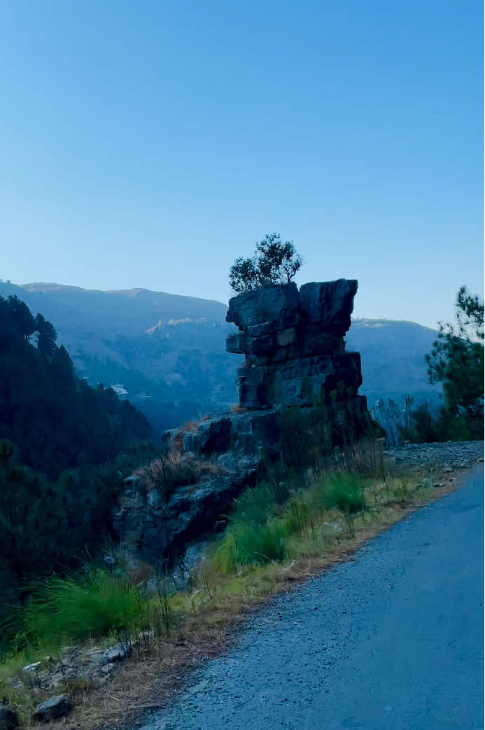 کھلا تونگا😜 #fyp #banjara  #nature #banjaralife #hazara 