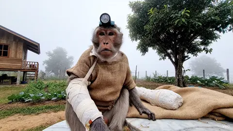 ภาพตัดเลยพี่น้อง #creatorsearchinsights #viralvideo #viraltiktok #คลิปตลก #ตลกฮาๆ 