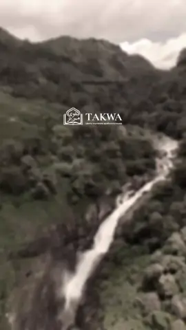 #ислам #ислам_религия_мира_добра #muslimtiktok #islamic_video #اسلام 