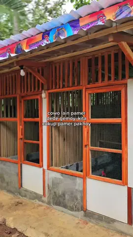 upss #pakhoy #ayam #katakata #ternakayam #fypシ゚viral🖤tiktok 
