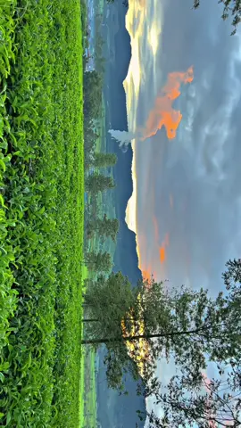 Bumi tuh indah kalo kita mau bangun pagi😁🍃✨ tapi bangun nya langsung pergi ke alam yah jangan berangkat Kerja🗿