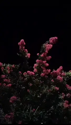 Ҳақиқати талх 😔 #суханхои таъсирбахш #хакикат#суханихак #р_е_к_о_м_и_н_д_а_ц_и_и #2026 Тоҷикистон 🇹🇯 Душанбе 