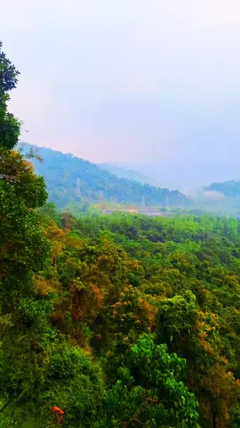 #lakshapana#viral#visitsrilanka🇱🇰#nature 