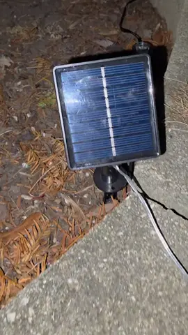 Warm Glow Festive Garden Stake Lights