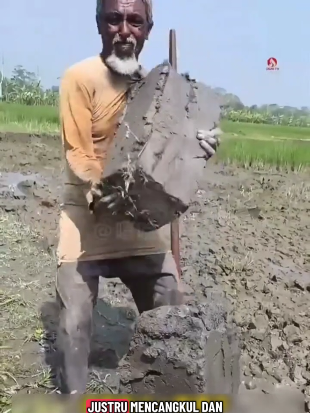 Menggali Rezeki, Mengorbankan Masa Depan. 💔 ​Inilah kisah pilu para petani di Bangladesh. Mereka menjual tanah liat dari sawah mereka sendiri, bukan untuk kaya, tapi untuk bertahan hidup. ​Penghasilan dari bertani tak seberapa (kurang dari $3/hari!), membuat mereka terpaksa menggali tanah yang sejatinya adalah sumber kehidupan mereka. ​Setiap balok tanah liat yang diangkat, berarti satu langkah menuju kemiskinan permanen. Lahan subur pun kini jadi lahan mati. 😭 ​Tonton sampai habis untuk melihat bagaimana siklus kemiskinan ini menjebak mereka! #KemiskinanEkstrem #KisahNyata #SiklusKemiskinan #fyppppppppppppppppppppppp 