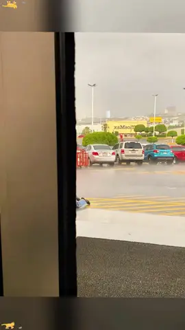 Funny moments#funny#fail#funnyvideos#funnyfail#fyp