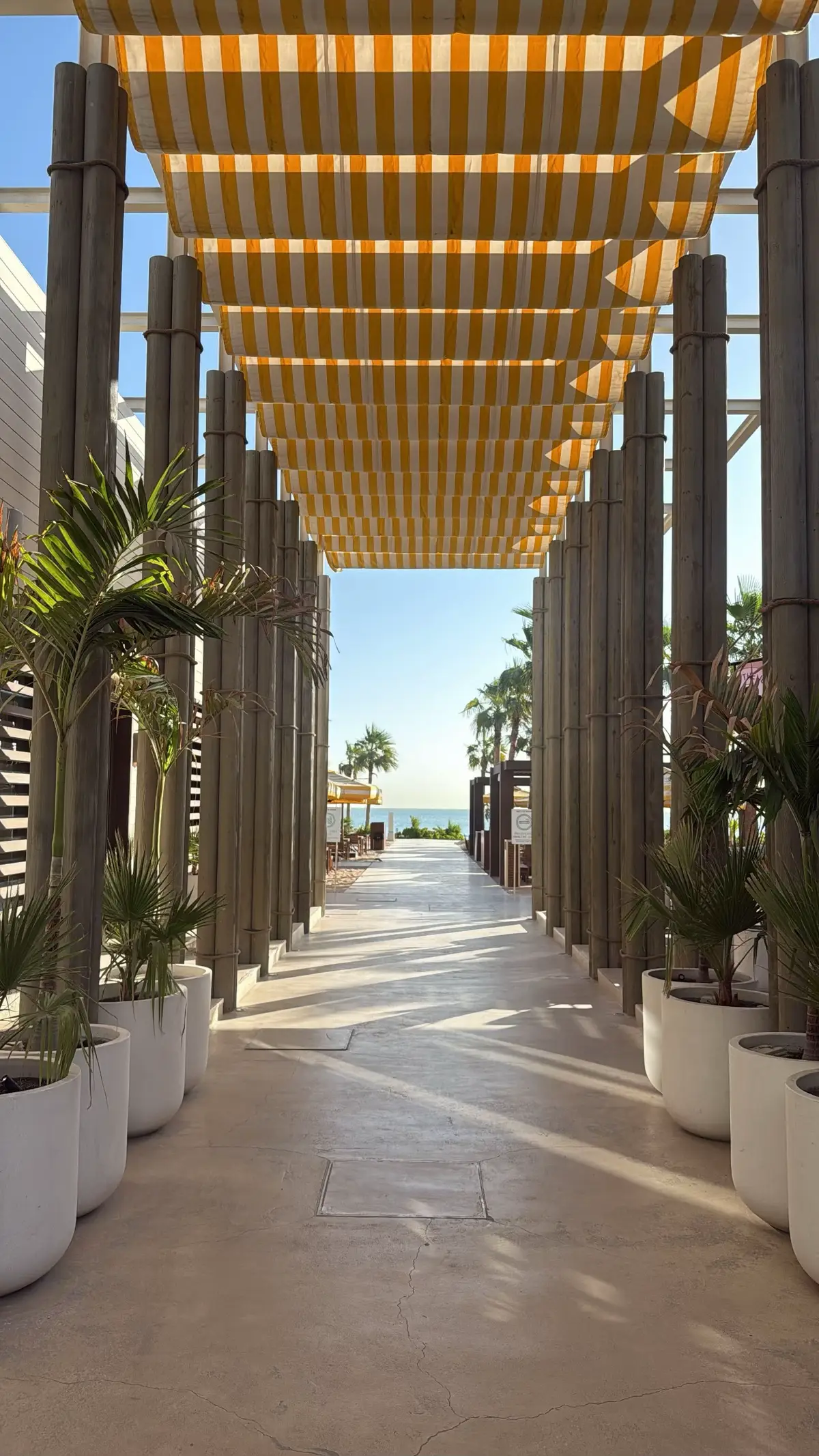 #fyp #explore #4u #khobar #عشوائيات 