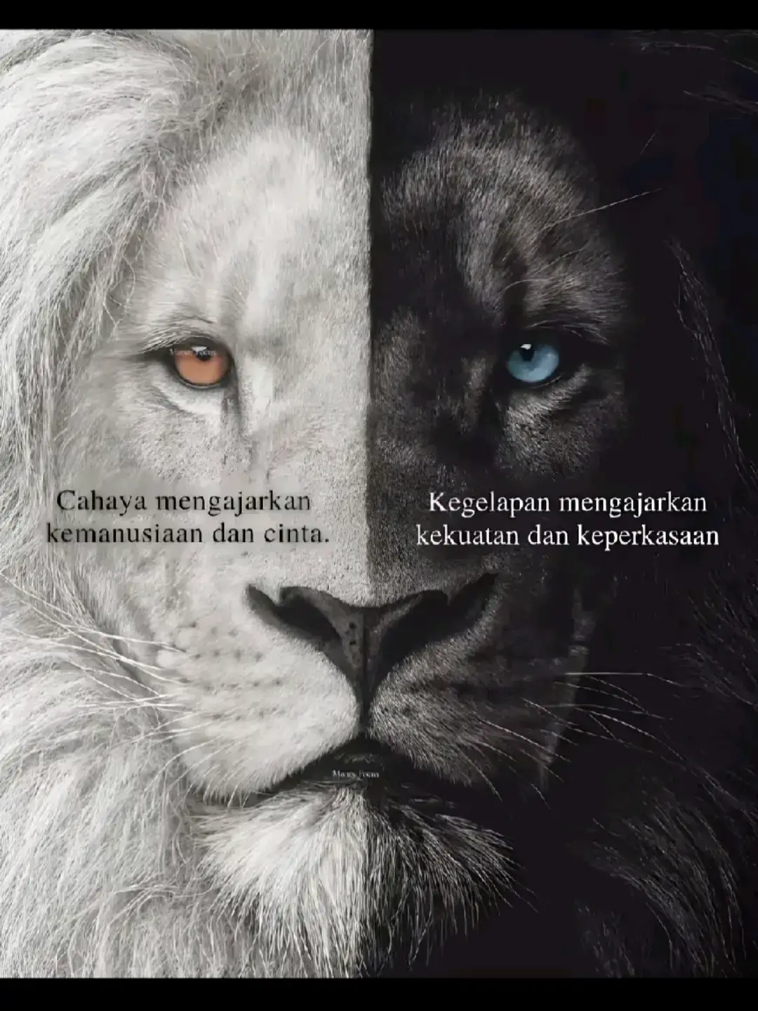 #16forlife #memories 