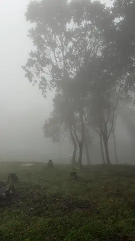 Dalxiska so Socdo waxan u socona Zanziba Dalxiis 6 malin ah. Wixi fahfahin Kala xirir +254..728..877…654  @Explorer's Peak Adventure 🌍 #explorerspeakadventure 